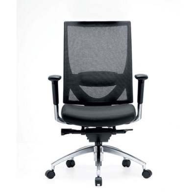Mesh Back Executive Leather Chair, 50684