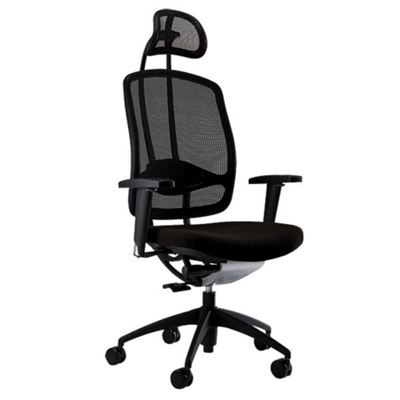 Executive Mesh Chair with Headrest