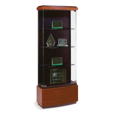 Medium Display Case, 31654