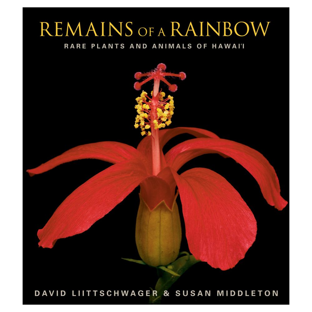 Remains of a Rainbow Softcover