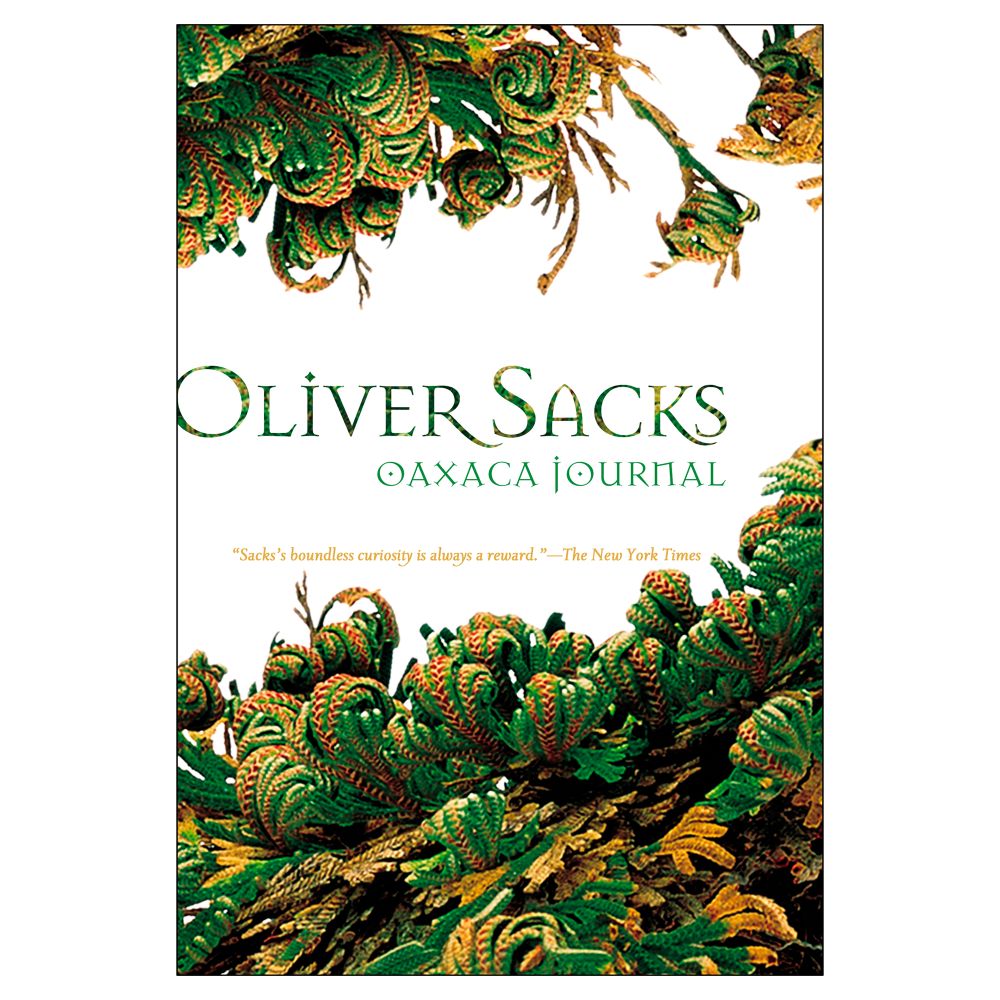 Oaxaca Journal