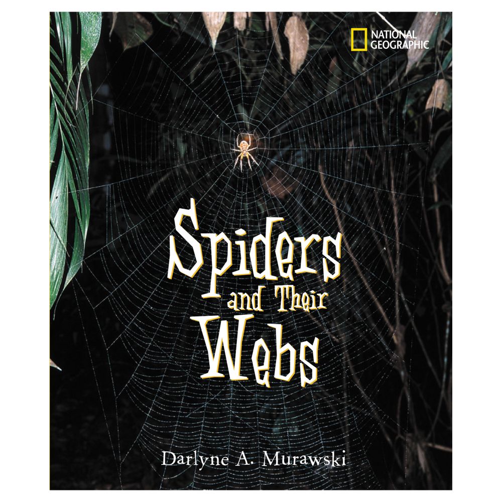 Spiders and Their Webs