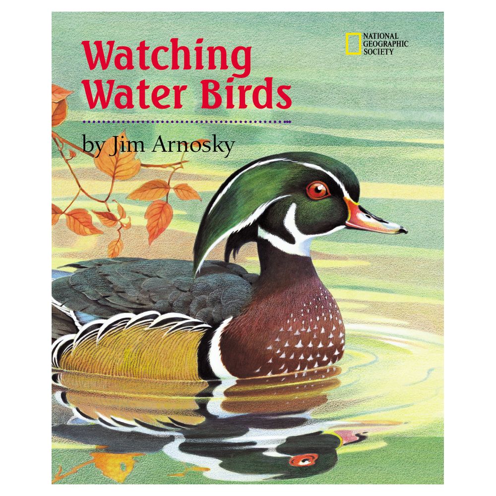 Watching Water Birds 