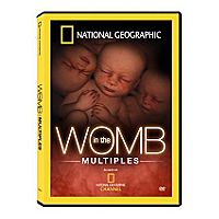In the Womb Multiples DVD