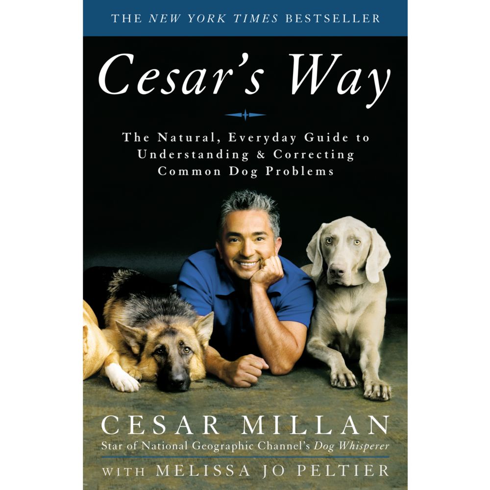 Cesar's Way