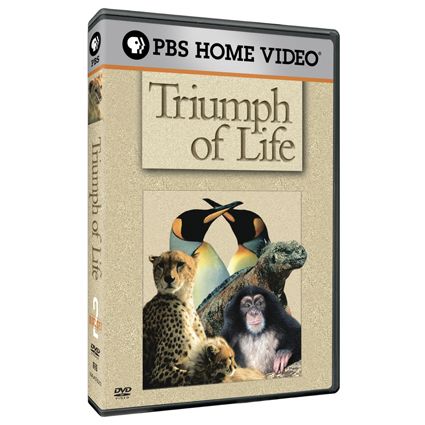 Nature: Triumph of Life DVD