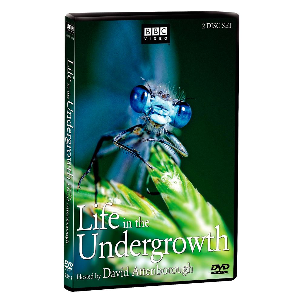 Life in the Undergrowth DVD