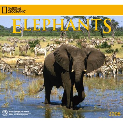 2008 National Geographic Elephants Wall Calendar
