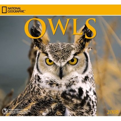 2008 National Geographic Owls Wall Calendar