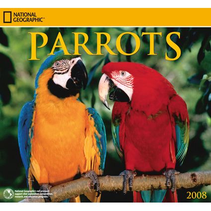 2008 National Geographic Parrots Wall Calendar