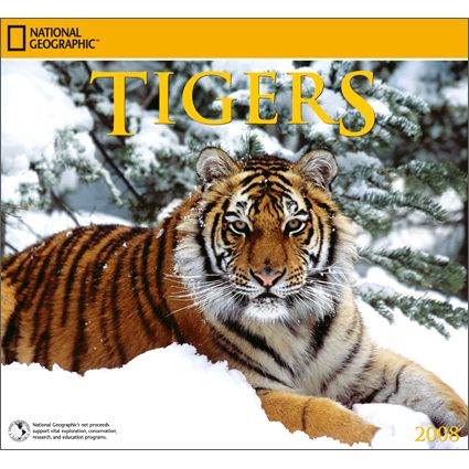 2008 National Geographic Tigers Wall Calendar