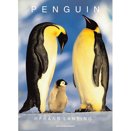 2008 Frans Lanting Penguins Big Calendar