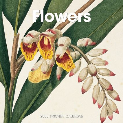 2008 Flowers Wall Calendar