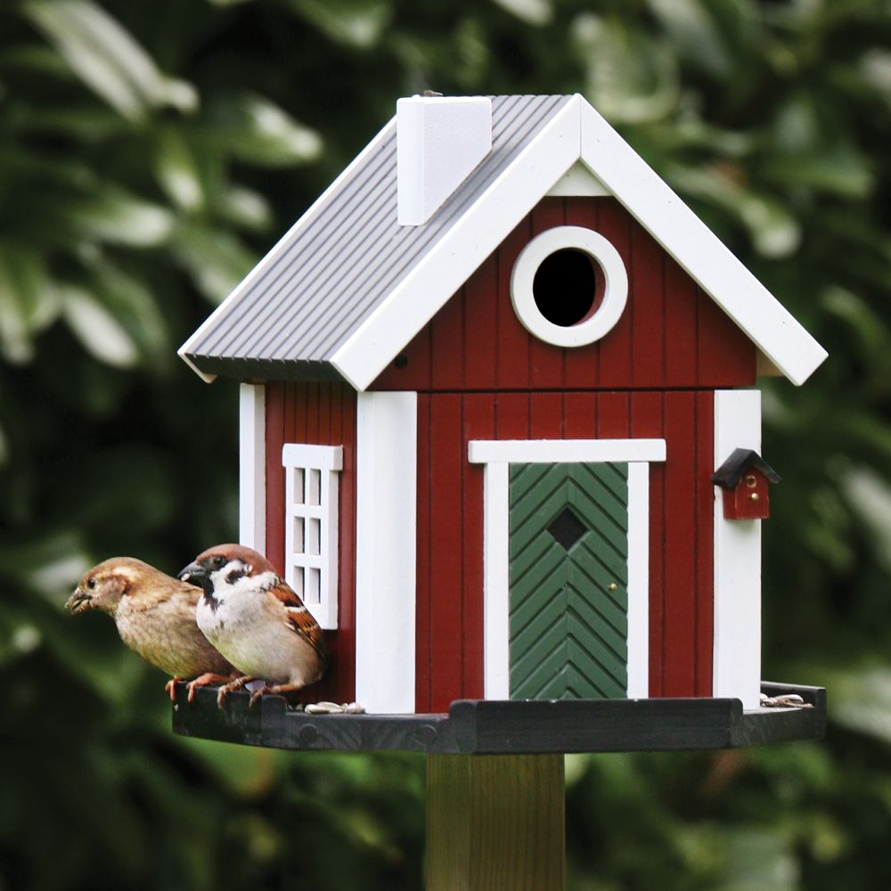Convertible Birdhouse Feeder