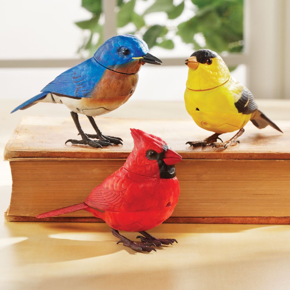 Motion-activated Singing Birds