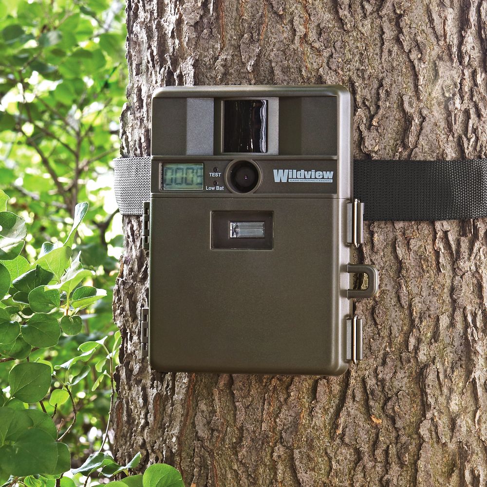 2.0 Megapixel Digital Motion-detection Camera