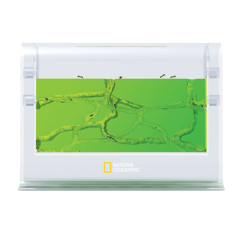 National Geographic Ant Farm Gel Colony