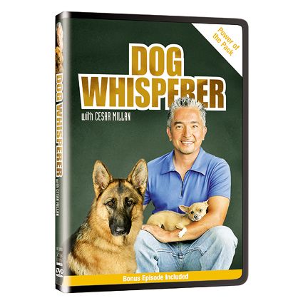 Dog Whisperer with Cesar Millan, Power of the Pack DVD