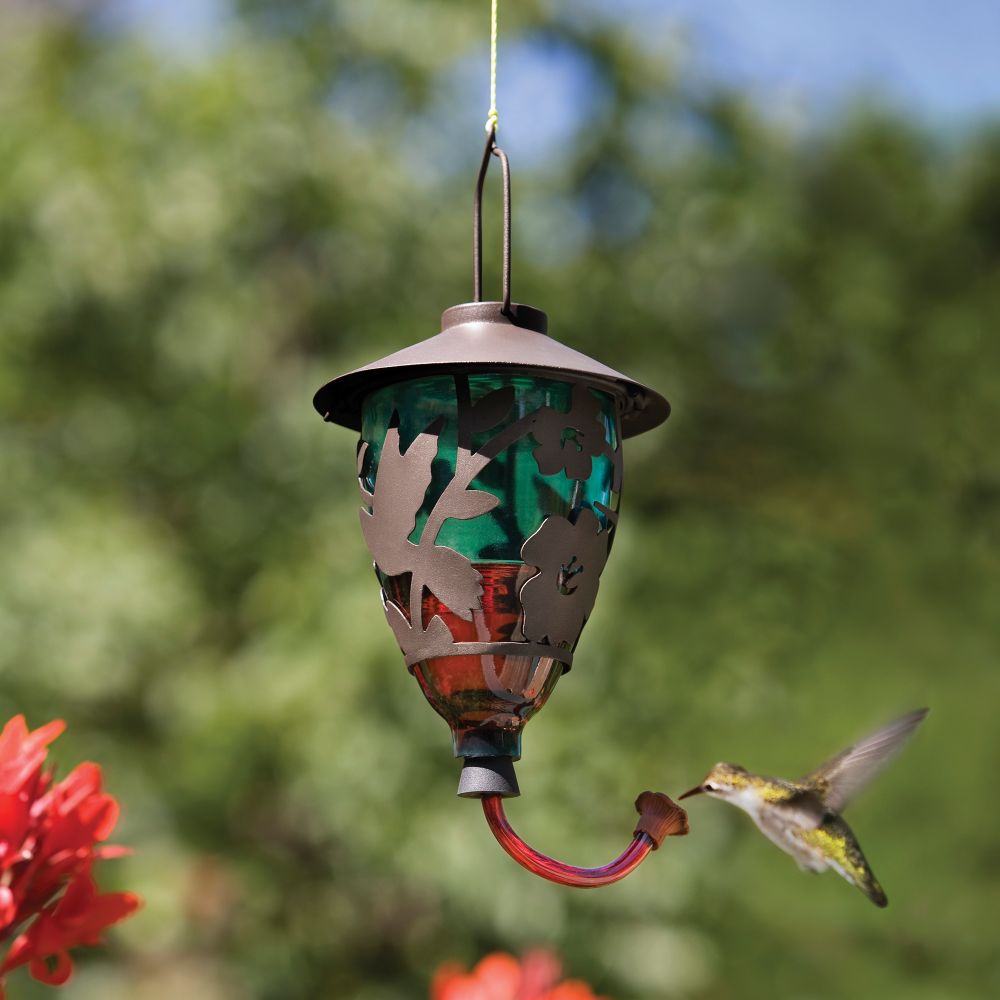 National Geographic Glass Hummingbird Feeder