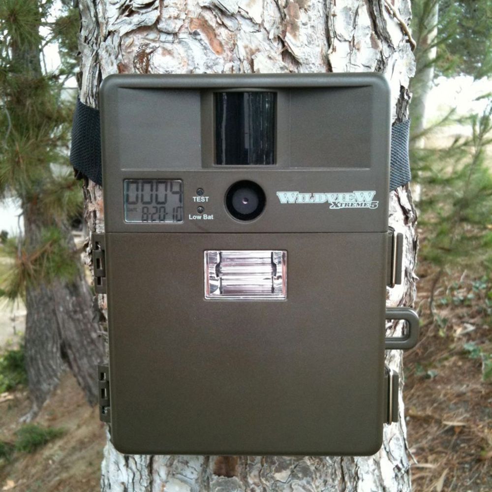 5.0 Megapixel Digital Motion-detection Camera