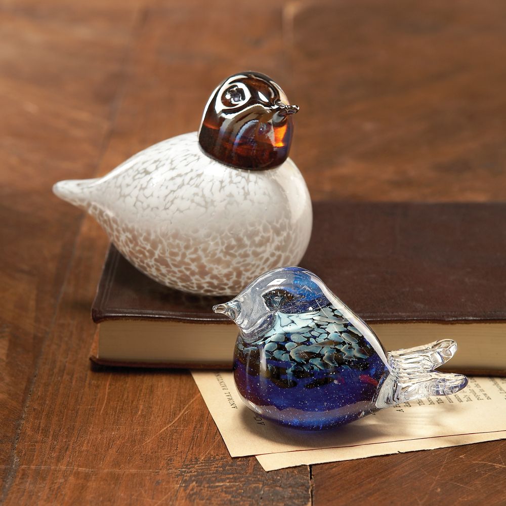 Glass Bluebird