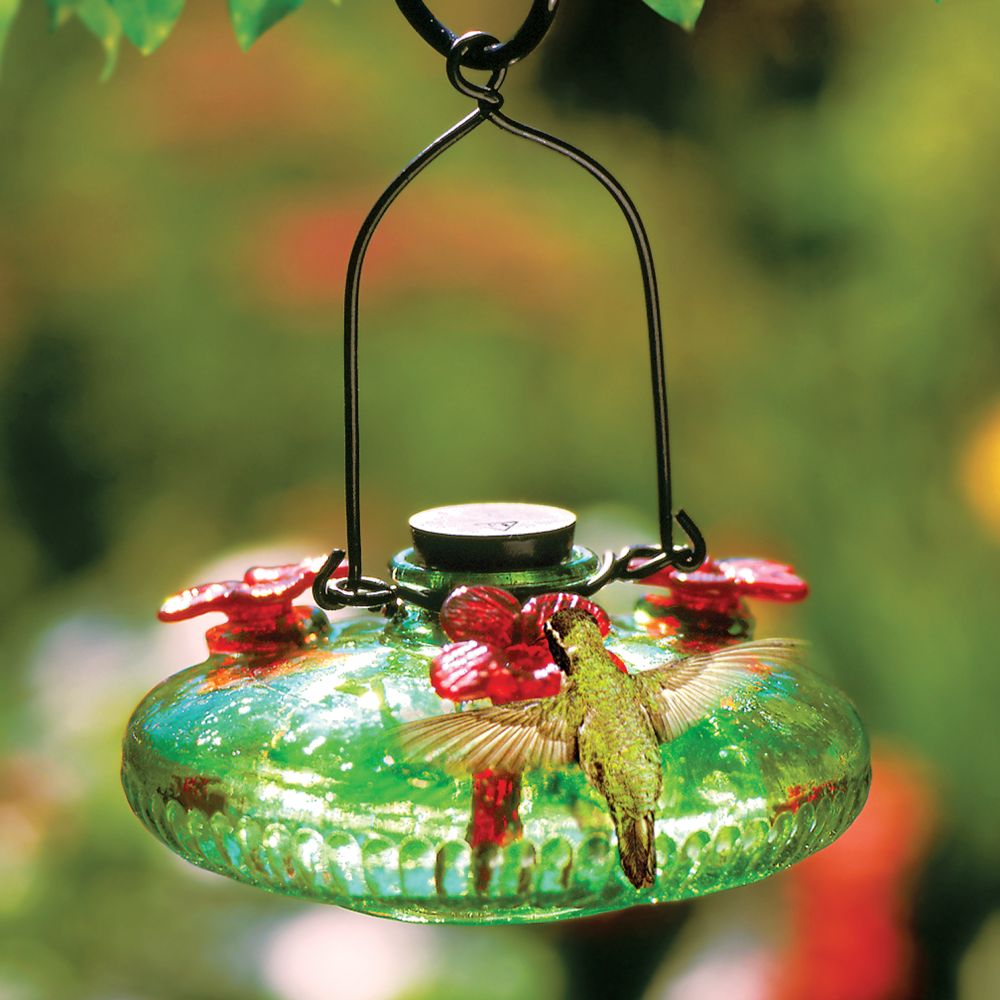 Hummingbird Feeders