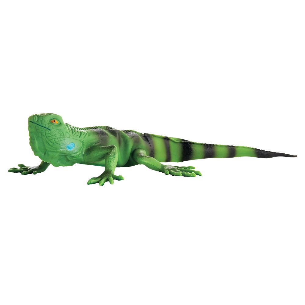 Realistic Crawling Iguana