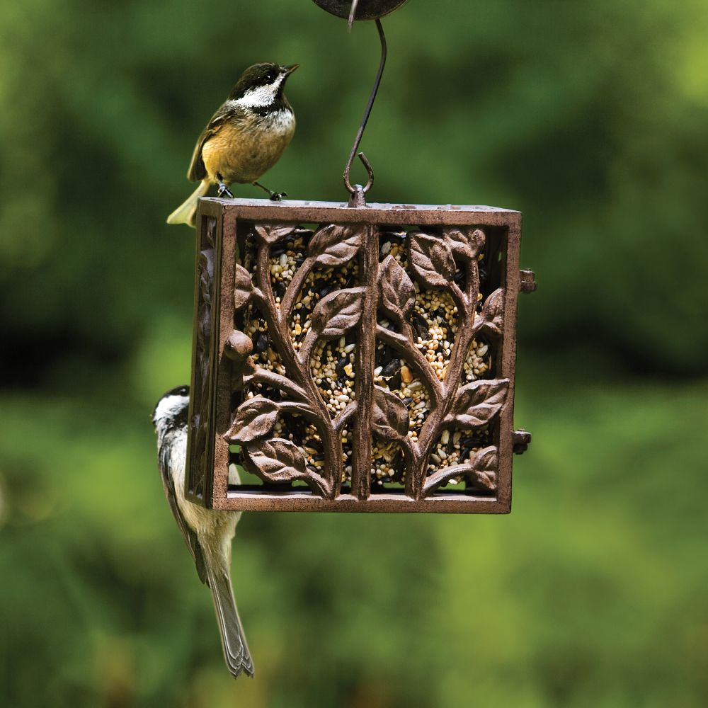National Geographic Cast Iron Suet Feeder