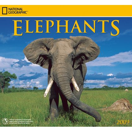 2009 National Geographic Elephants Wall Calendar