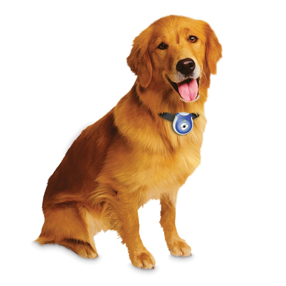 National Geographic Kids Pet Cam