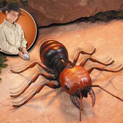 Remote-control Ant