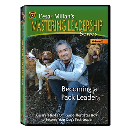 Becoming a Pack Leader DVD