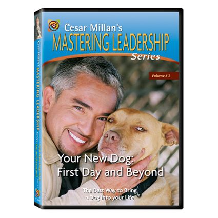 Your New Dog: First Day and Beyond DVD