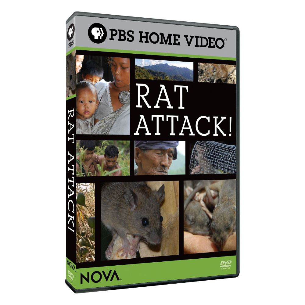NOVA: Rat Attack! DVD