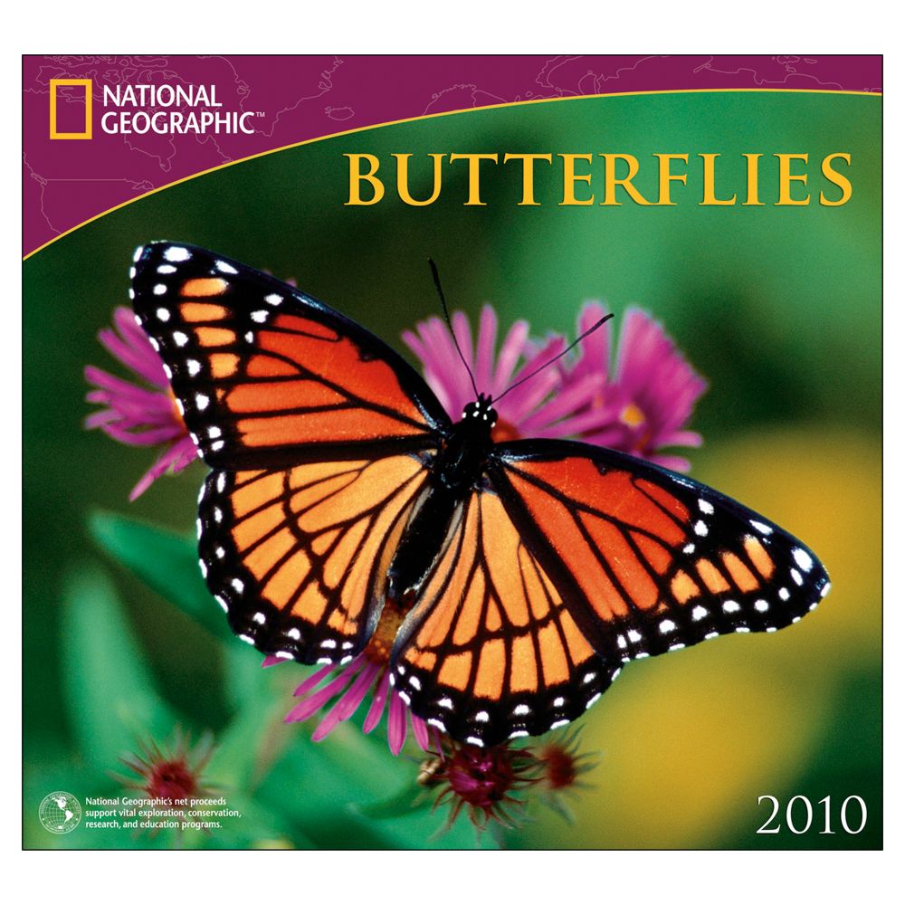2010 National Geographic Butterflies Wall Calendar