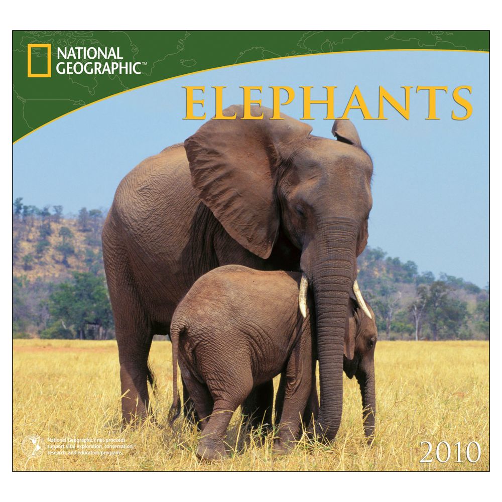 2010 National Geographic Elephants Wall Calendar