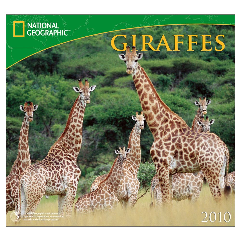 2010 National Geographic Giraffes Wall Calendar