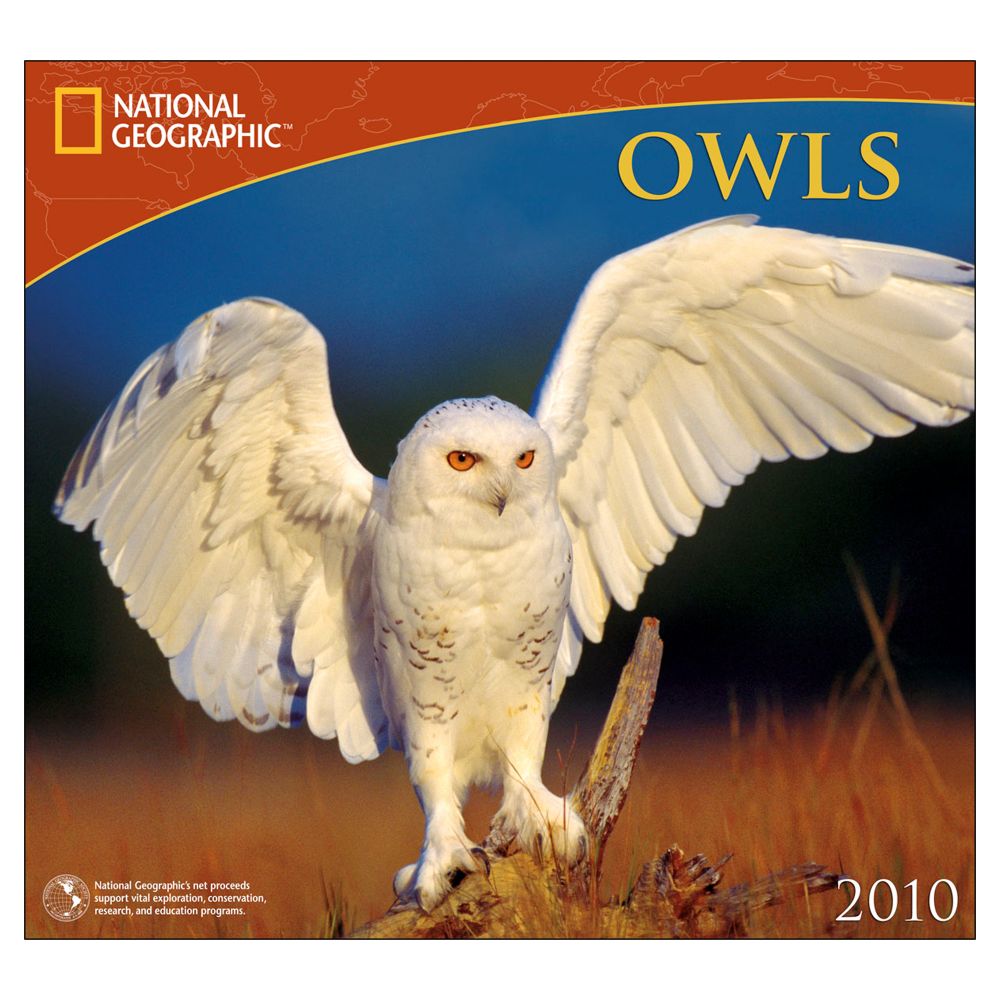 2010 National Geographic Owls Wall Calendar
