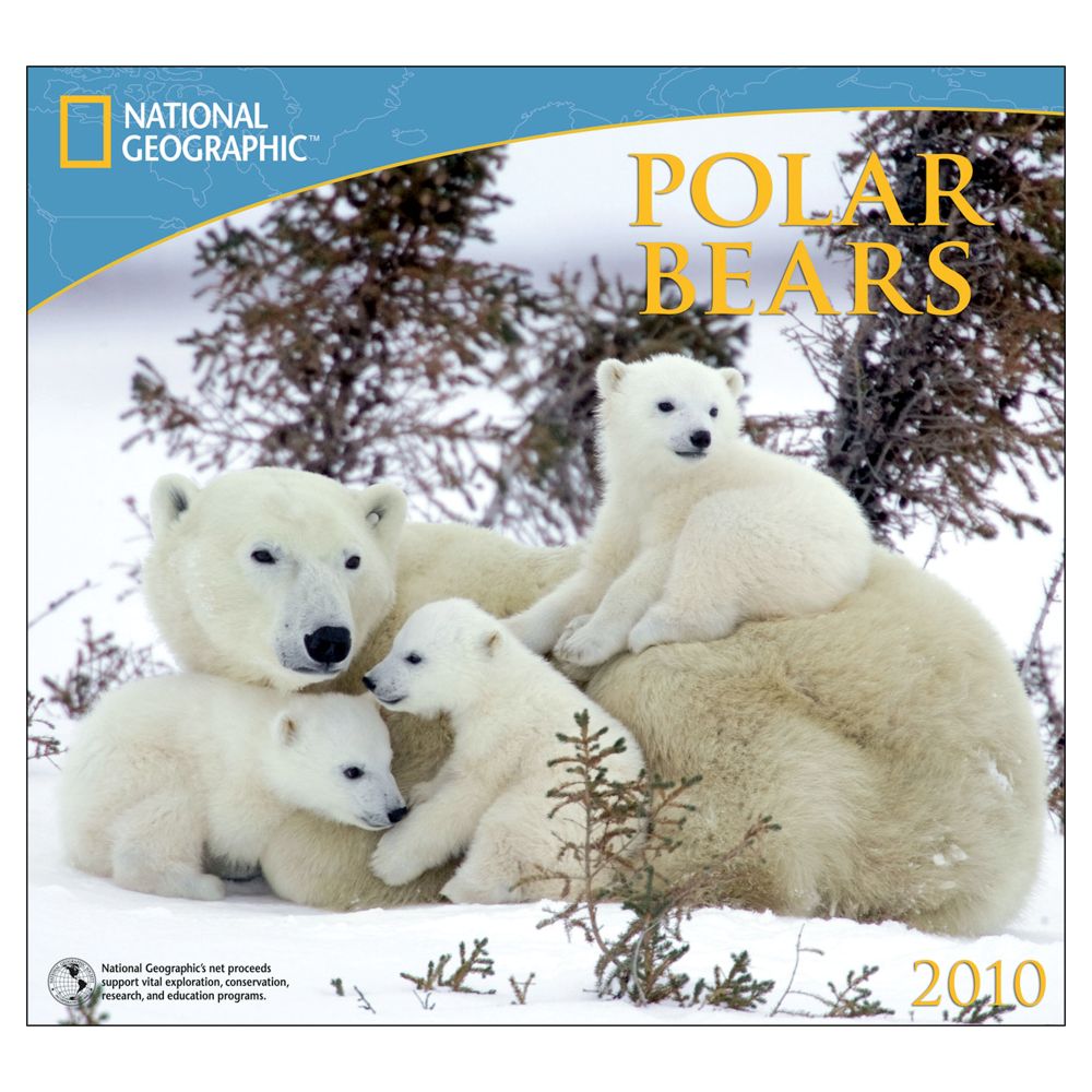 2010 National Geographic Polar Bears Wall Calendar