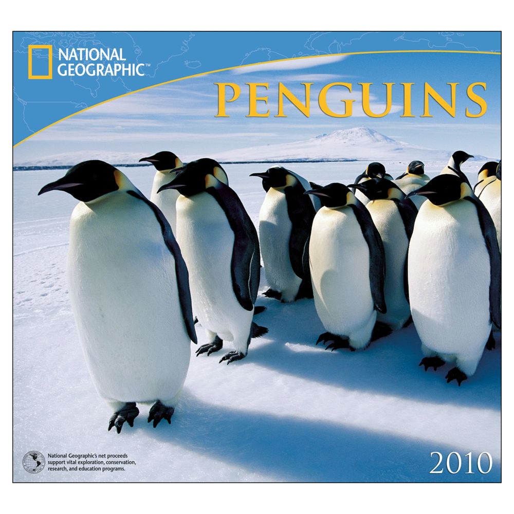 2010 National Geographic Penguins Wall Calendar