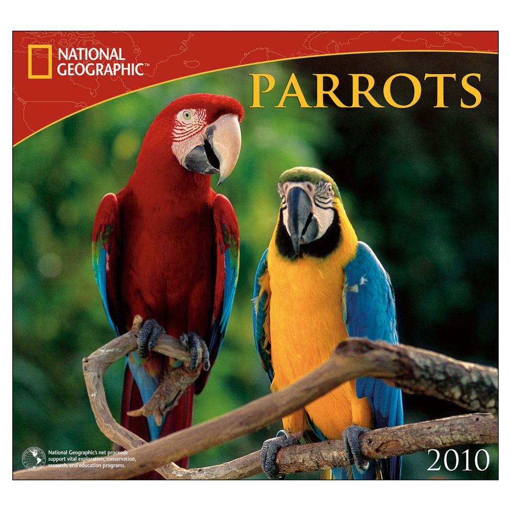 2010 National Geographic Parrots Wall Calendar