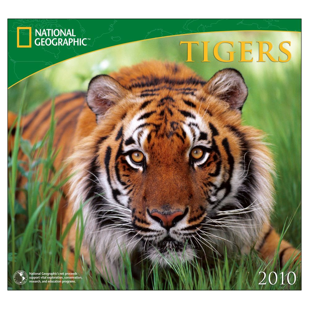 2010 National Geographic Tigers Wall Calendar