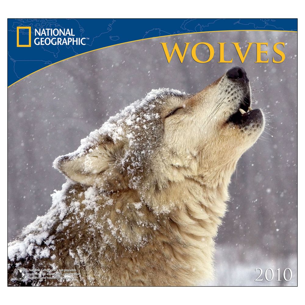 2010 National Geographic Wolves Wall Calendar