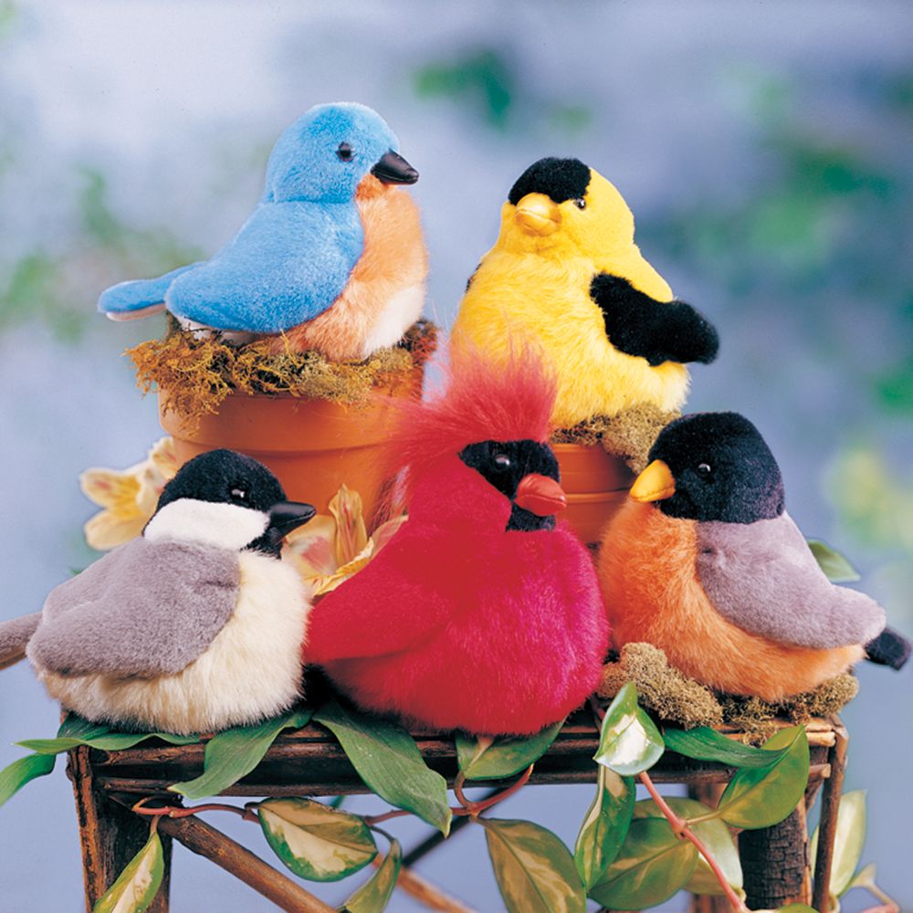 Songbirds Choir, Five-Bird Set