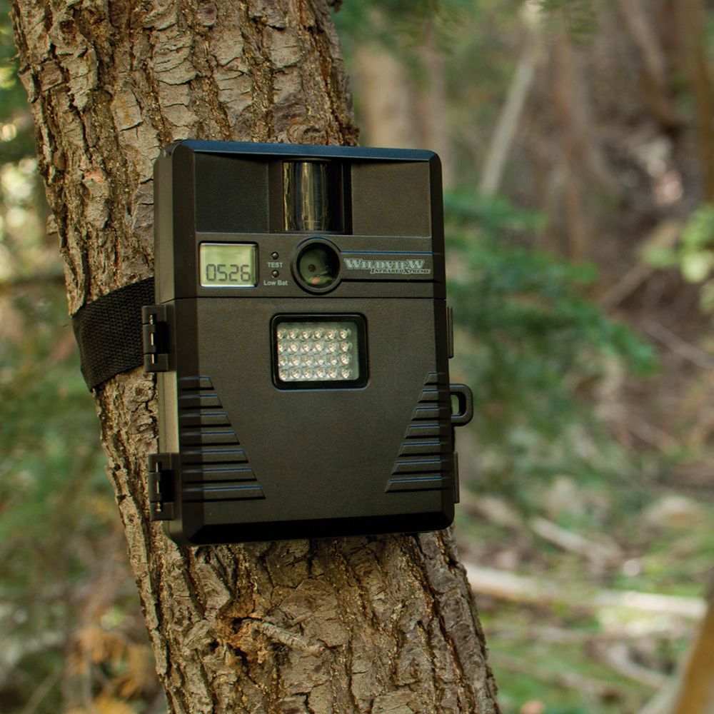 5.0 Megapixel Infrared Digital Motion-detection Camera