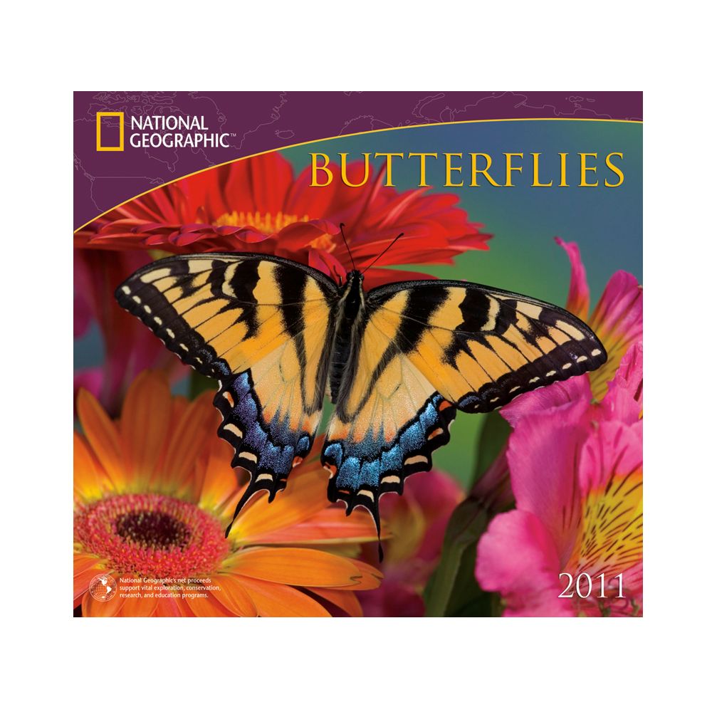 2011 National Geographic Butterflies Wall Calendar