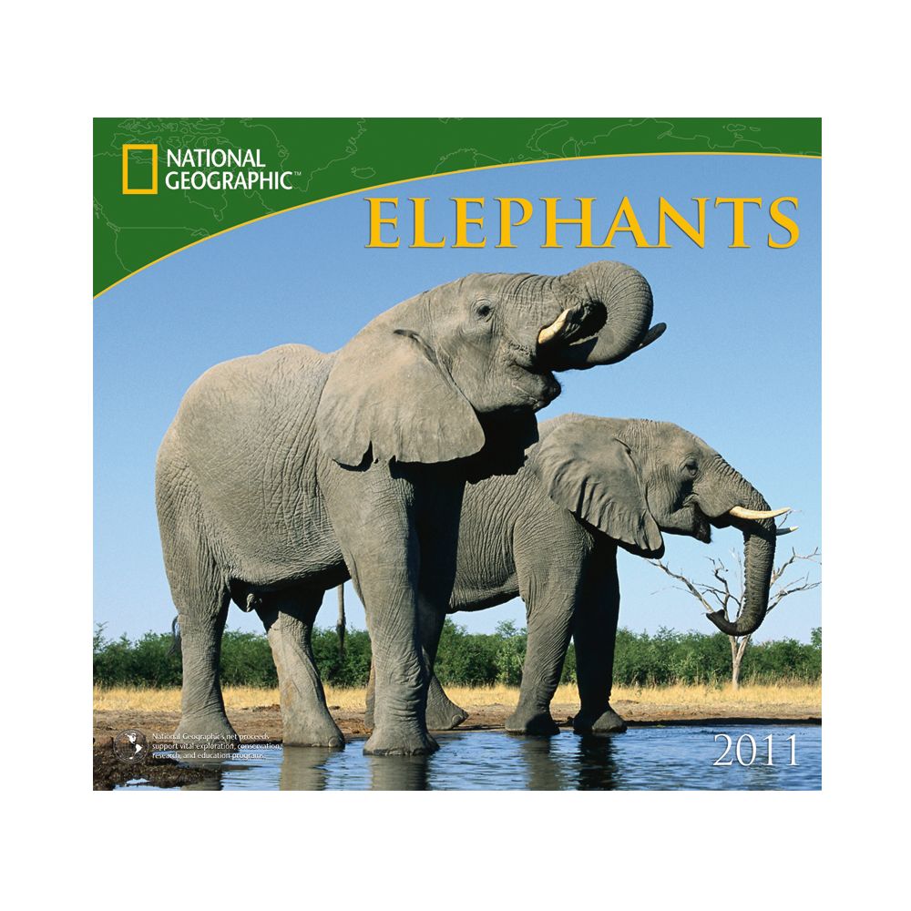 2011 National Geographic Elephants Wall Calendar