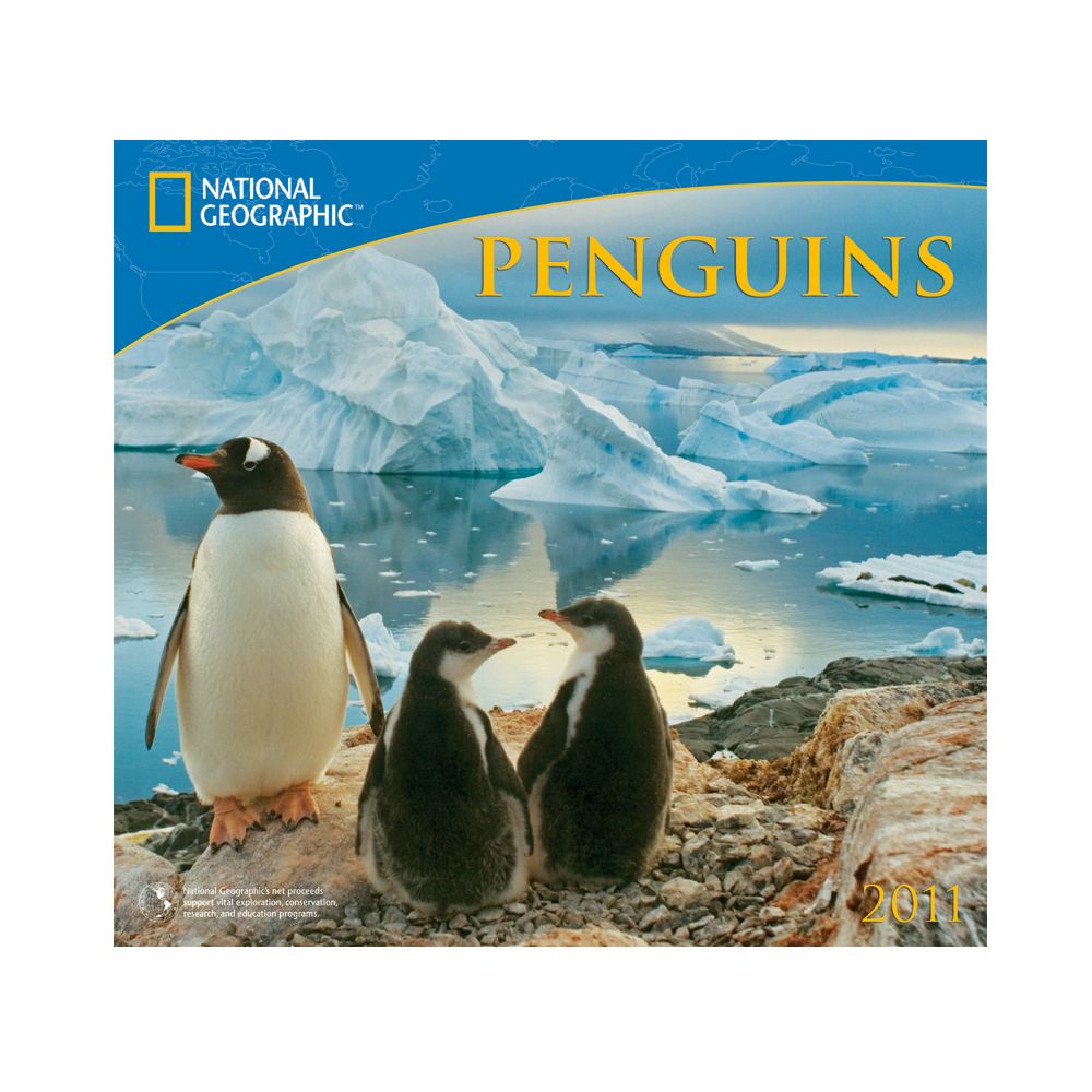 2011 National Geographic Penguins Wall Calendar