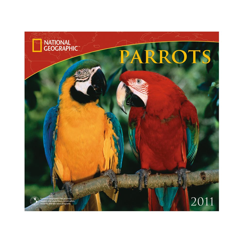 2011 National Geographic Parrots Wall Calendar
