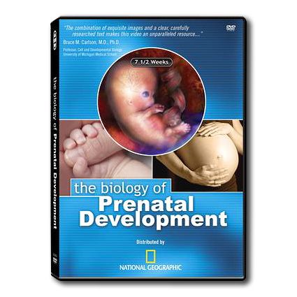 Biology of Prenatal Development DVD